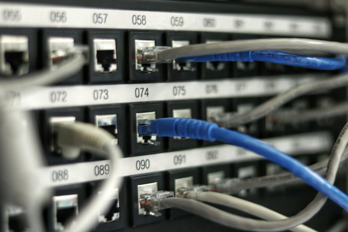 Network cables in a patch panel